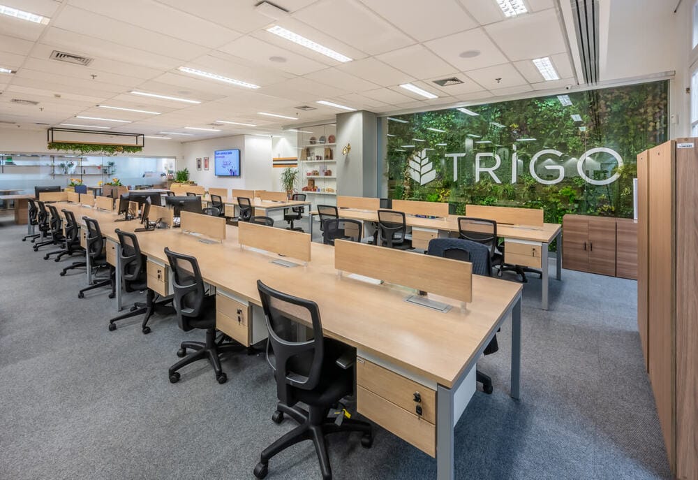 GRUPO TRIGO